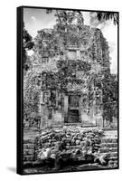 ¡Viva Mexico! B&W Collection - Mayan Ruins VI-Philippe Hugonnard-Framed Stretched Canvas