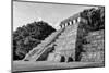 ¡Viva Mexico! B&W Collection - Mayan Temple of Inscriptions I - Palenque-Philippe Hugonnard-Mounted Photographic Print