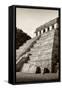 ¡Viva Mexico! B&W Collection - Mayan Temple of Inscriptions II - Palenque-Philippe Hugonnard-Framed Stretched Canvas