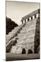 ¡Viva Mexico! B&W Collection - Mayan Temple of Inscriptions II - Palenque-Philippe Hugonnard-Mounted Photographic Print