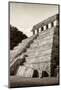 ¡Viva Mexico! B&W Collection - Mayan Temple of Inscriptions II - Palenque-Philippe Hugonnard-Mounted Photographic Print