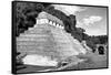 ¡Viva Mexico! B&W Collection - Mayan Temple of Inscriptions in Palenque II-Philippe Hugonnard-Framed Stretched Canvas