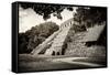 ¡Viva Mexico! B&W Collection - Mayan Temple of Inscriptions in Palenque IV-Philippe Hugonnard-Framed Stretched Canvas