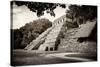 ¡Viva Mexico! B&W Collection - Mayan Temple of Inscriptions in Palenque IV-Philippe Hugonnard-Stretched Canvas