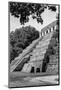 ¡Viva Mexico! B&W Collection - Mayan Temple of Inscriptions in Palenque V-Philippe Hugonnard-Mounted Photographic Print