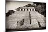 ¡Viva Mexico! B&W Collection - Mayan Temple of Inscriptions IV - Palenque-Philippe Hugonnard-Mounted Photographic Print