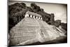 ¡Viva Mexico! B&W Collection - Mayan Temple of Inscriptions VI - Palenque-Philippe Hugonnard-Mounted Photographic Print