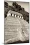 ¡Viva Mexico! B&W Collection - Mayan Temple of Inscriptions VIII - Palenque-Philippe Hugonnard-Mounted Premium Photographic Print