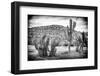 ¡Viva Mexico! B&W Collection - Mexican Cactus-Philippe Hugonnard-Framed Photographic Print