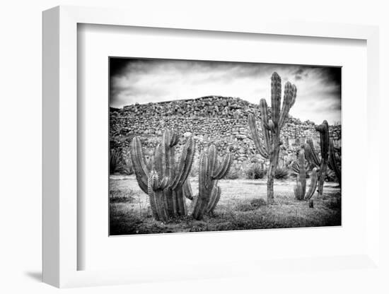 ¡Viva Mexico! B&W Collection - Mexican Cactus-Philippe Hugonnard-Framed Photographic Print
