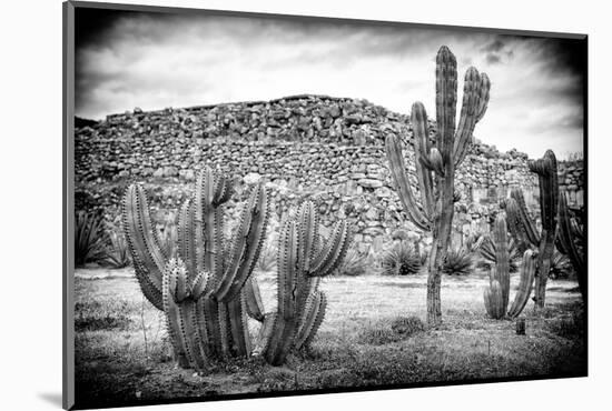 ¡Viva Mexico! B&W Collection - Mexican Cactus-Philippe Hugonnard-Mounted Photographic Print