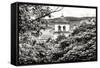 ¡Viva Mexico! B&W Collection - Mexican Church-Philippe Hugonnard-Framed Stretched Canvas