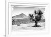 ¡Viva Mexico! B&W Collection - Mexican Desert-Philippe Hugonnard-Framed Photographic Print