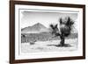 ¡Viva Mexico! B&W Collection - Mexican Desert-Philippe Hugonnard-Framed Photographic Print