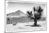 ¡Viva Mexico! B&W Collection - Mexican Desert-Philippe Hugonnard-Mounted Photographic Print