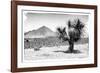 ¡Viva Mexico! B&W Collection - Mexican Desert-Philippe Hugonnard-Framed Photographic Print