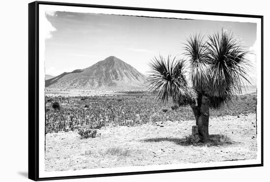 ¡Viva Mexico! B&W Collection - Mexican Desert-Philippe Hugonnard-Framed Stretched Canvas