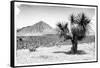 ¡Viva Mexico! B&W Collection - Mexican Desert-Philippe Hugonnard-Framed Stretched Canvas