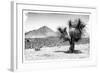 ¡Viva Mexico! B&W Collection - Mexican Desert-Philippe Hugonnard-Framed Photographic Print