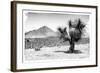 ¡Viva Mexico! B&W Collection - Mexican Desert-Philippe Hugonnard-Framed Photographic Print