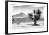 ¡Viva Mexico! B&W Collection - Mexican Desert-Philippe Hugonnard-Framed Photographic Print