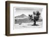 ¡Viva Mexico! B&W Collection - Mexican Desert-Philippe Hugonnard-Framed Photographic Print