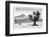 ¡Viva Mexico! B&W Collection - Mexican Desert-Philippe Hugonnard-Framed Photographic Print