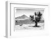 ¡Viva Mexico! B&W Collection - Mexican Desert-Philippe Hugonnard-Framed Photographic Print