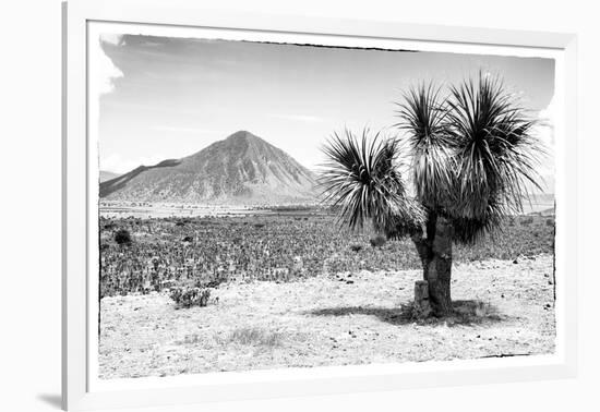 ¡Viva Mexico! B&W Collection - Mexican Desert-Philippe Hugonnard-Framed Photographic Print