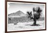 ¡Viva Mexico! B&W Collection - Mexican Desert-Philippe Hugonnard-Framed Photographic Print