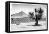 ¡Viva Mexico! B&W Collection - Mexican Desert-Philippe Hugonnard-Framed Stretched Canvas