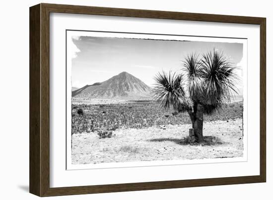 ¡Viva Mexico! B&W Collection - Mexican Desert-Philippe Hugonnard-Framed Photographic Print