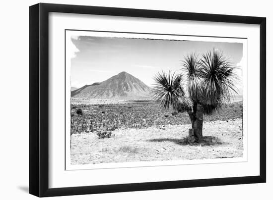 ¡Viva Mexico! B&W Collection - Mexican Desert-Philippe Hugonnard-Framed Photographic Print