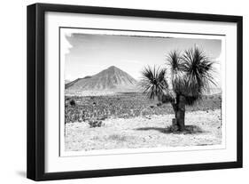 ¡Viva Mexico! B&W Collection - Mexican Desert-Philippe Hugonnard-Framed Photographic Print