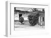 ¡Viva Mexico! B&W Collection - Miscelanea Mary II-Philippe Hugonnard-Framed Photographic Print