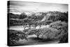 ¡Viva Mexico! B&W Collection - Monte Alban Pyramids II-Philippe Hugonnard-Stretched Canvas