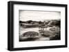 ¡Viva Mexico! B&W Collection - Monte Alban Pyramids III-Philippe Hugonnard-Framed Photographic Print