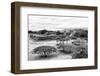 ¡Viva Mexico! B&W Collection - Monte Alban Pyramids IV-Philippe Hugonnard-Framed Photographic Print