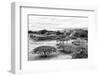 ¡Viva Mexico! B&W Collection - Monte Alban Pyramids IV-Philippe Hugonnard-Framed Photographic Print