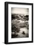 ¡Viva Mexico! B&W Collection - Monte Alban Pyramids V-Philippe Hugonnard-Framed Photographic Print