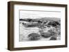 ¡Viva Mexico! B&W Collection - Monte Alban Pyramids VIII-Philippe Hugonnard-Framed Photographic Print