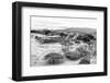 ¡Viva Mexico! B&W Collection - Monte Alban Pyramids VIII-Philippe Hugonnard-Framed Photographic Print