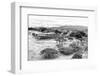 ¡Viva Mexico! B&W Collection - Monte Alban Pyramids VIII-Philippe Hugonnard-Framed Photographic Print