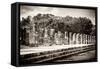 ¡Viva Mexico! B&W Collection - One Thousand Mayan Columns - Chichen Itza-Philippe Hugonnard-Framed Stretched Canvas