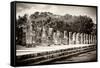 ¡Viva Mexico! B&W Collection - One Thousand Mayan Columns - Chichen Itza-Philippe Hugonnard-Framed Stretched Canvas