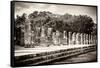 ¡Viva Mexico! B&W Collection - One Thousand Mayan Columns - Chichen Itza-Philippe Hugonnard-Framed Stretched Canvas