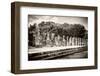 ¡Viva Mexico! B&W Collection - One Thousand Mayan Columns - Chichen Itza-Philippe Hugonnard-Framed Photographic Print