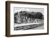 ¡Viva Mexico! B&W Collection - One Thousand Mayan Columns II - Chichen Itza-Philippe Hugonnard-Framed Photographic Print