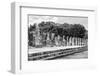 ¡Viva Mexico! B&W Collection - One Thousand Mayan Columns II - Chichen Itza-Philippe Hugonnard-Framed Photographic Print
