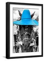 ¡Viva Mexico! B&W Collection - Portrait of Horse with Blue Hat-Philippe Hugonnard-Framed Photographic Print